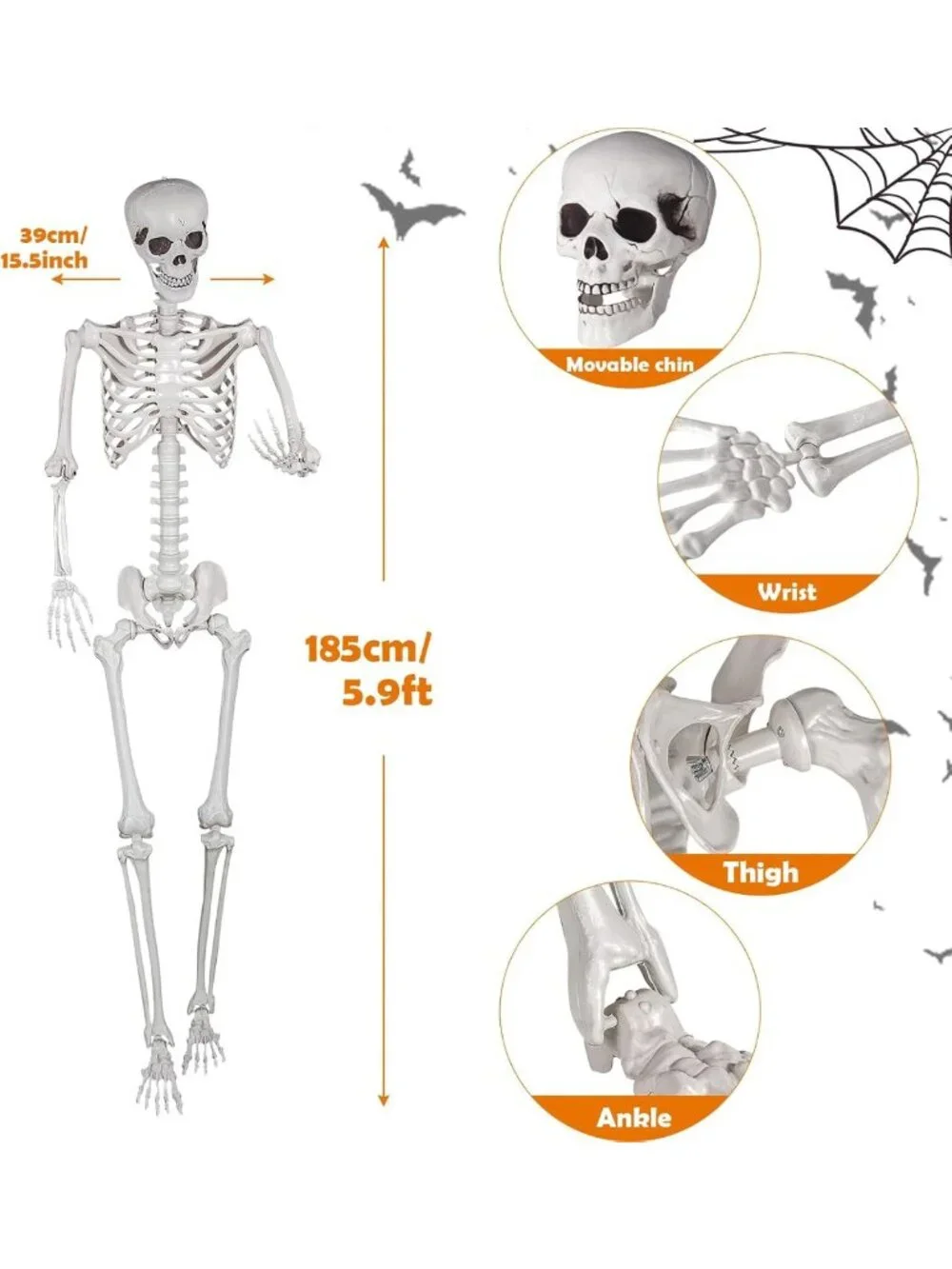Realistic Life-Size Skeleton with Movable Joints for Halloween Party Decor 5.9ft